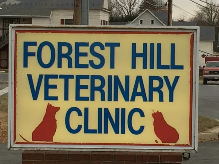 Forest Hill Veterinary Clinic 12