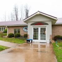 Celebrie Veterinary Hospital ico