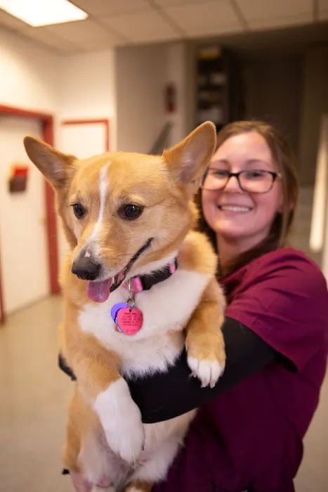 Celebrie Veterinary Hospital 12