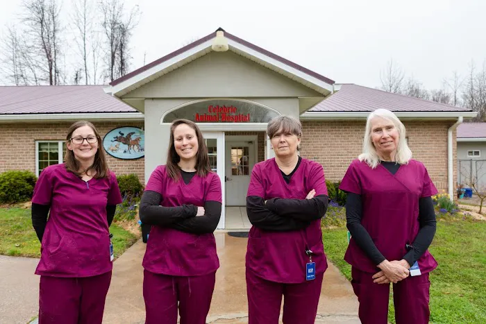 Celebrie Veterinary Hospital 12