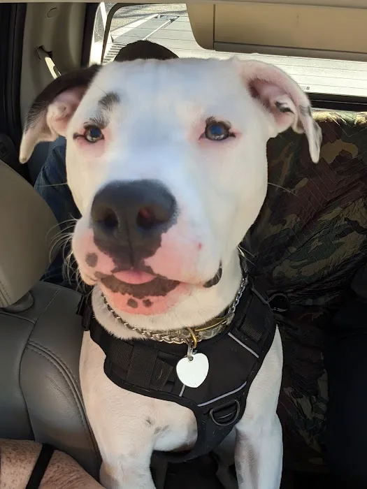 Animal Care Center & Pet Resort 12