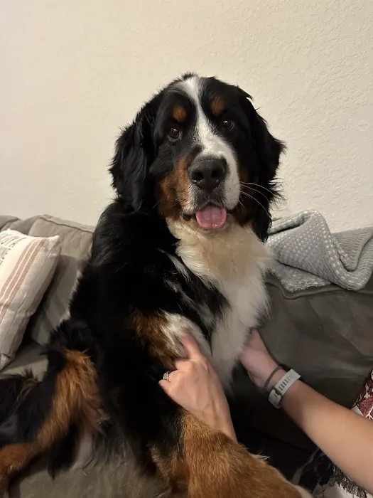 Animal Care Center & Pet Resort 12