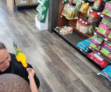 Pet Supermarket