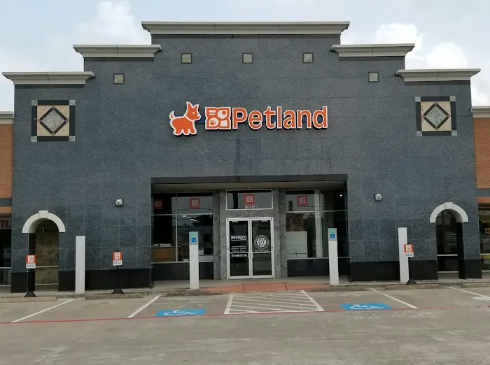 Petland Woodlands 1