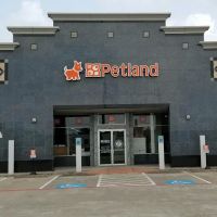 Petland Woodlands ico