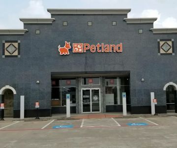 Petland Woodlands