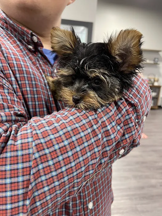 Petland Woodlands 5