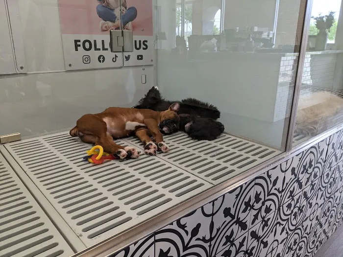 Petland Woodlands 10