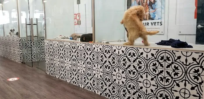 Petland Woodlands 9