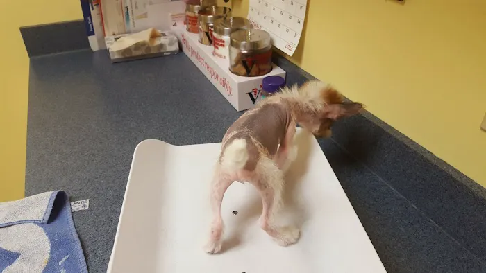 Catoctin Veterinary Clinic 12