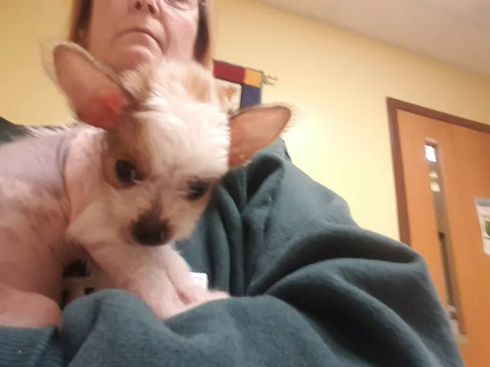 Catoctin Veterinary Clinic 12