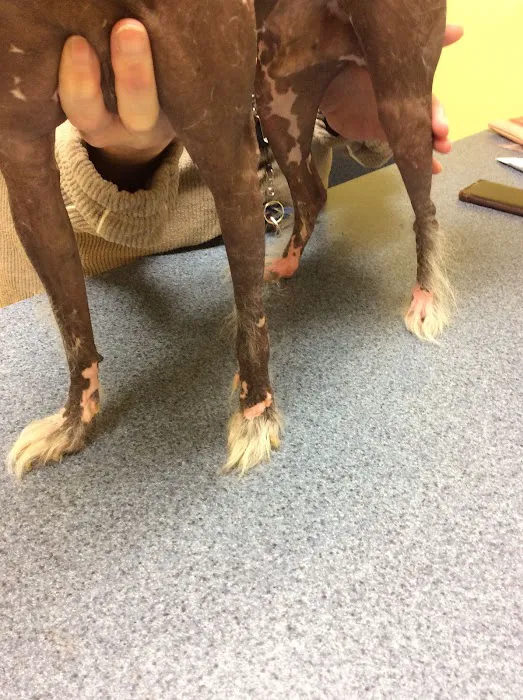 Catoctin Veterinary Clinic 12