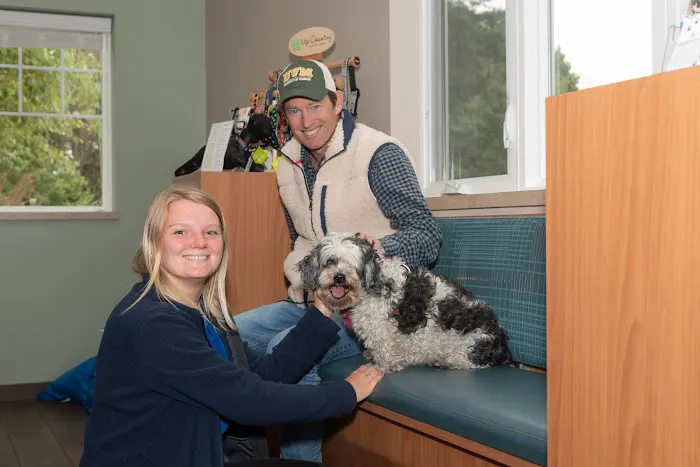 Queenstown Veterinary Hospital 12