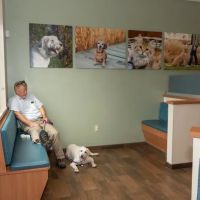 Queenstown Veterinary Hospital ico
