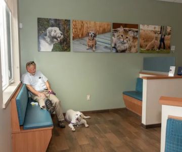 Queenstown Veterinary Hospital