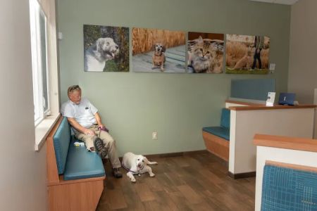 Queenstown Veterinary Hospital