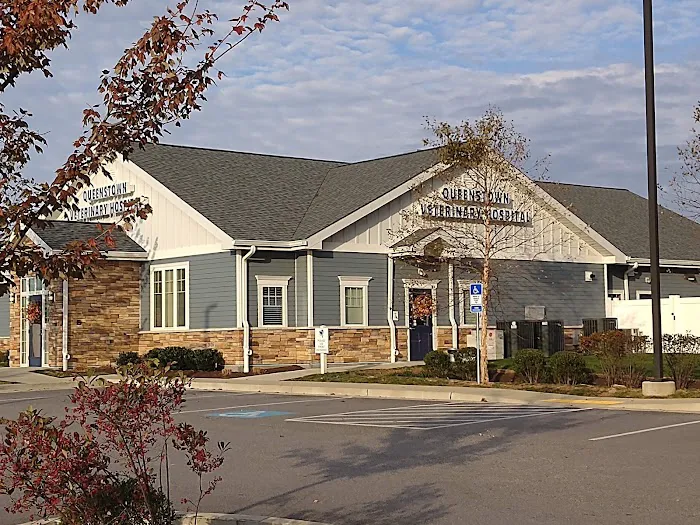 Queenstown Veterinary Hospital 12