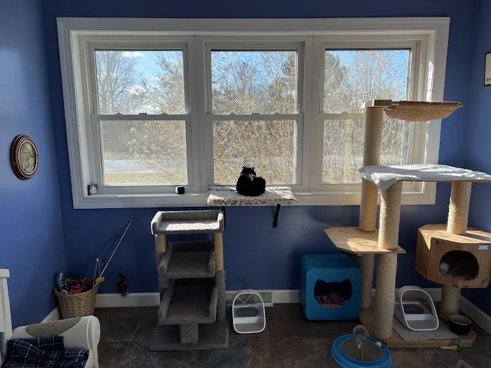 Mid Atlantic Cat Hospital 12