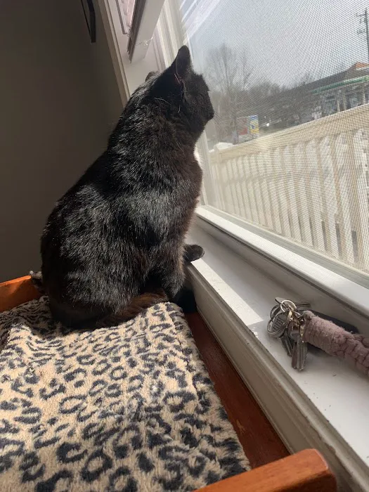 Mid Atlantic Cat Hospital 12
