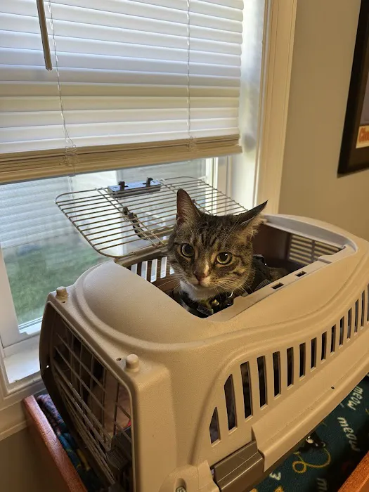 Mid Atlantic Cat Hospital 12