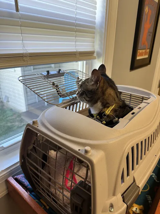 Mid Atlantic Cat Hospital 12