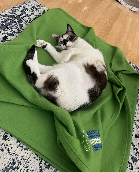 Mid Atlantic Feline Thyroid Center 12