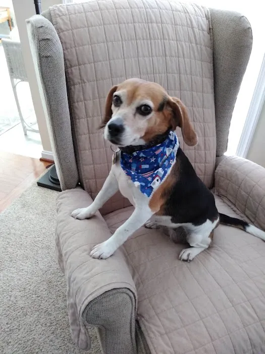 Town & Country Animal Hospital: Maltby Kathleen DVM 12