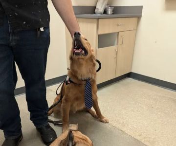Petco
