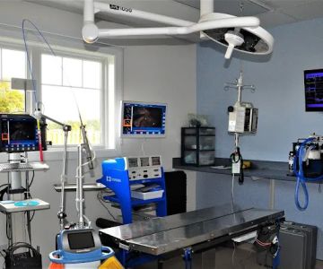 All Kinds Veterinary Hospital