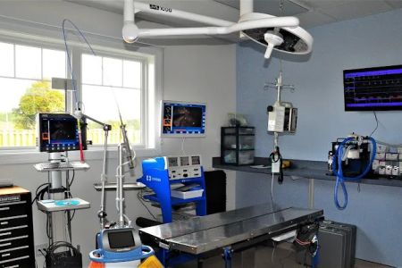 All Kinds Veterinary Hospital
