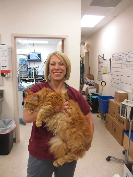 All Kinds Veterinary Hospital 12