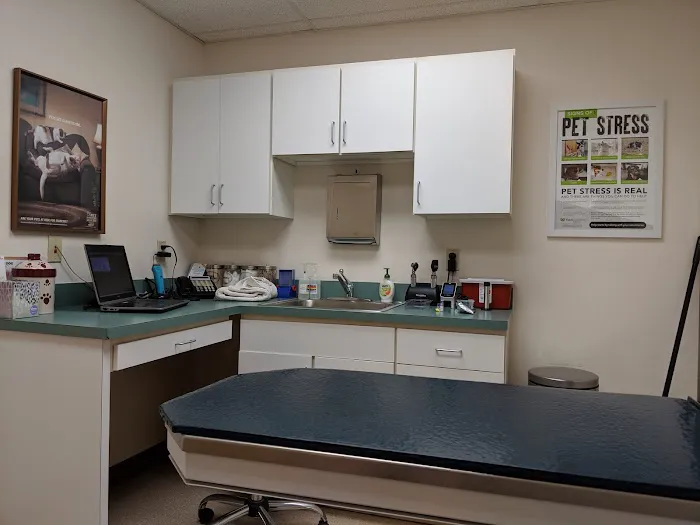 All Kinds Veterinary Hospital 12