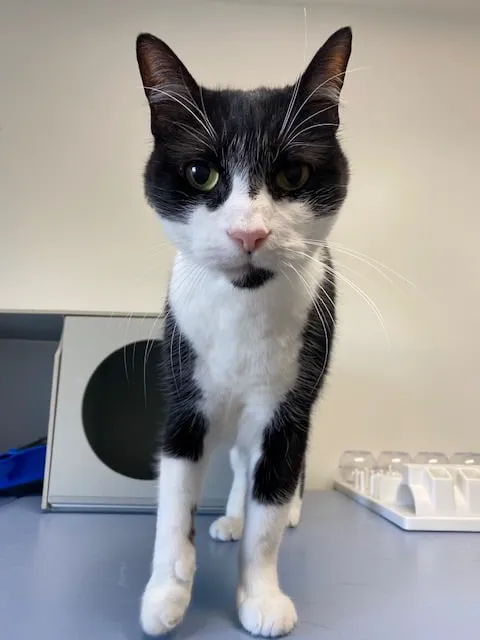 All Kinds Veterinary Hospital 12