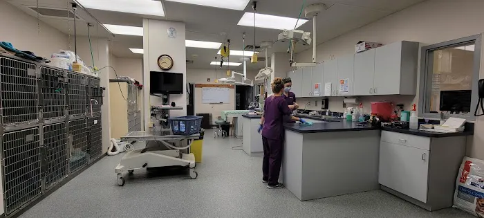 VCA St. Mary's Animal Hospital 12