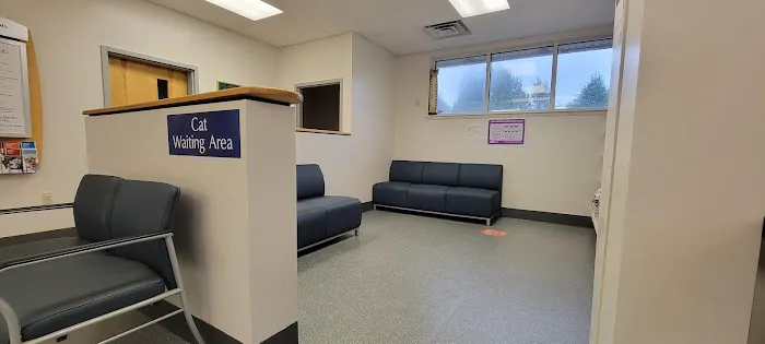 VCA St. Mary's Animal Hospital 12