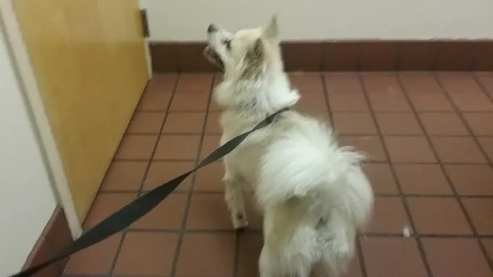 VCA St. Mary's Animal Hospital 12