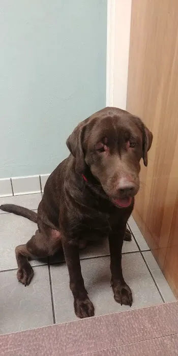 Solomons Veterinary Medical Center 12