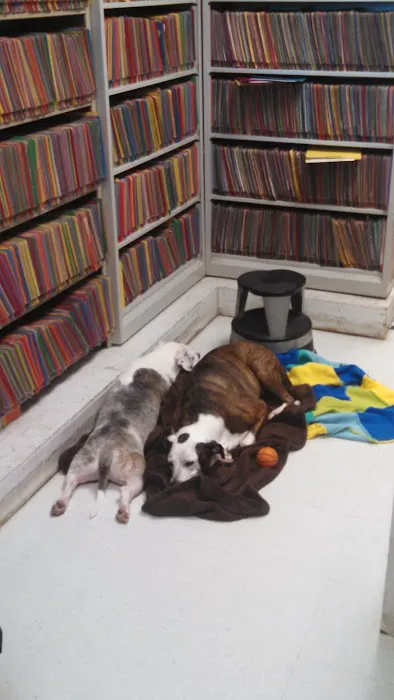 Well Pet Clinic 12