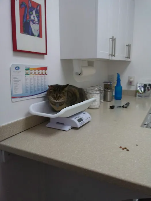 Eagle's Nest Animal Hospital 8