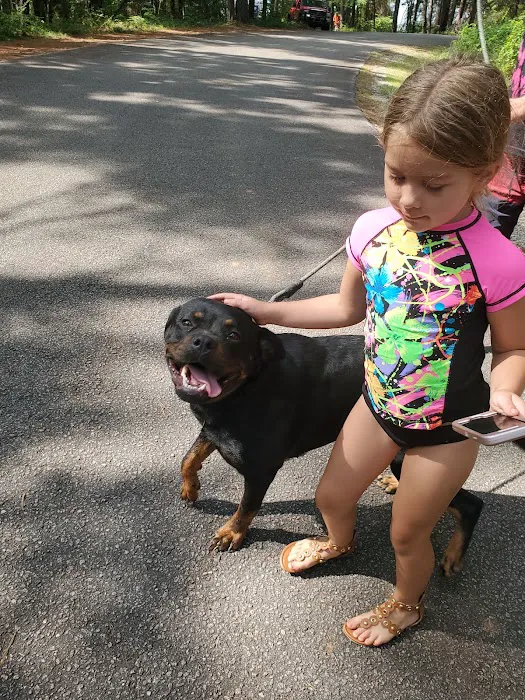 Palmetto Animal Hospital 12