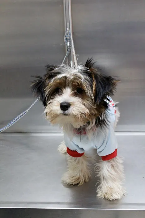 Granite Hills Animal Care: Mathis Andy DVM 12