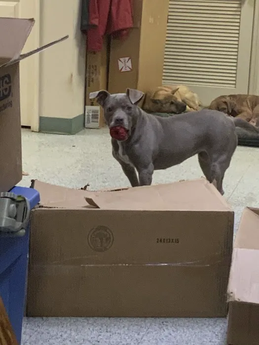 Granite Hills Animal Care: Mathis Andy DVM 12