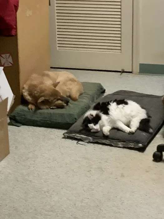 Granite Hills Animal Care 12