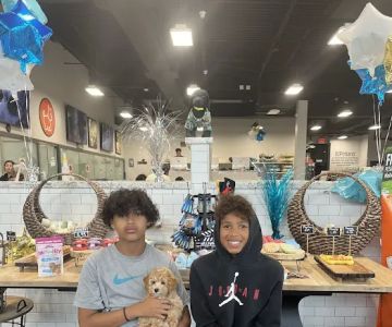 Petland Webster