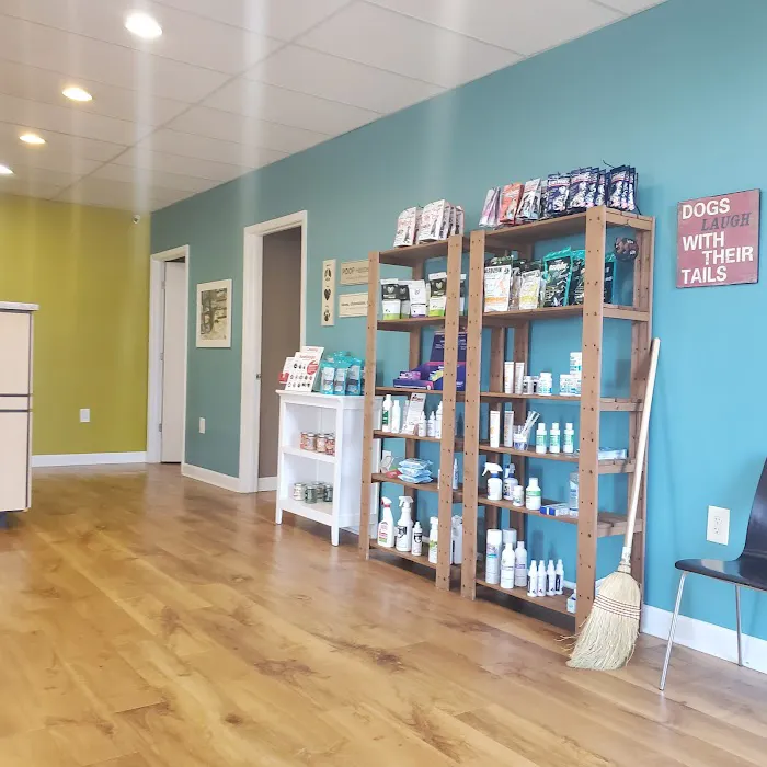 Pet Medical Center, Amy R. Nickels DVM 12