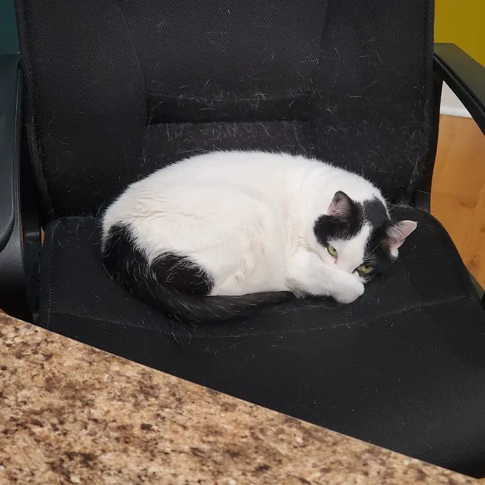 Pet Medical Center, Amy R. Nickels DVM 12