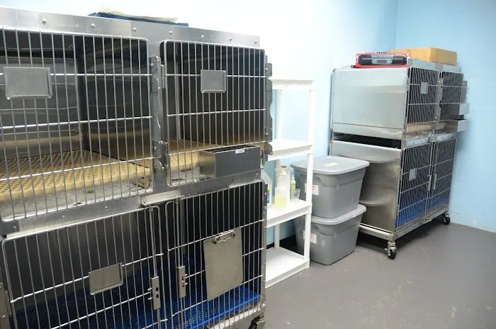 Pet Medical Center 12
