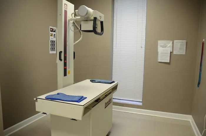 Pet Medical Center 12