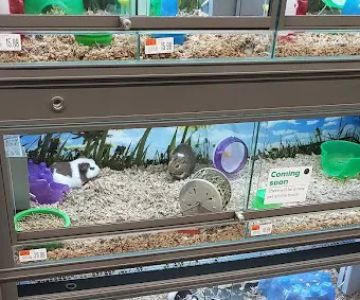 Pet Supplies Plus League City