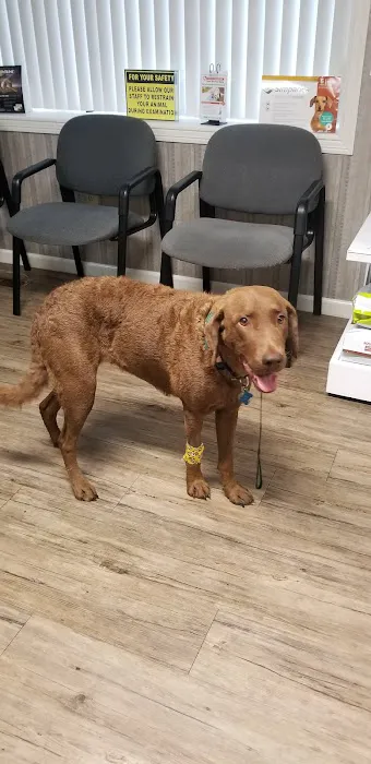Hambrick Animal Clinic 12